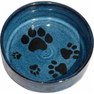 Multi-black Paw Turquoise